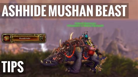 Beasttips.