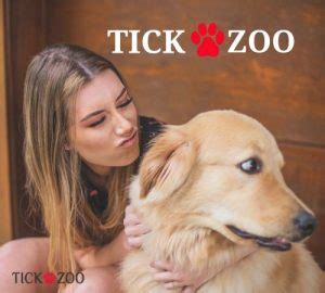 tickzoo.com