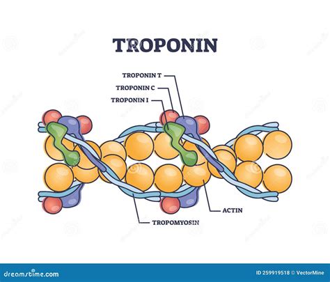 tropetin
